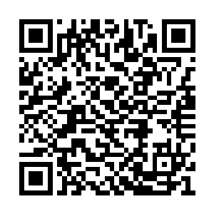 在下本是可以担保三个月后就为大人带来战报的二维码生成