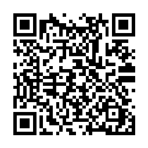 在不少新闻媒体和网友发出来的视频中都可以看到二维码生成