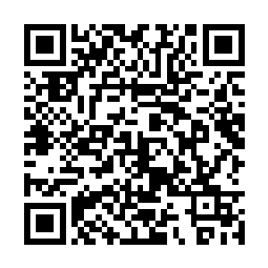 在不远处发现禾田长老洒落的鲜血以及战斗的痕迹二维码生成