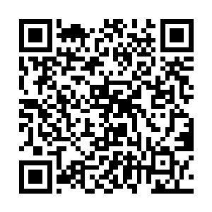 在不远处那只融合兽正在抓了一把融合兽塞到了嘴里二维码生成