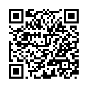 在不远的将来都可以获得240倍的回报二维码生成