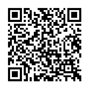 在与人族联军在赛尔内斯战区对峙了数个月之后二维码生成