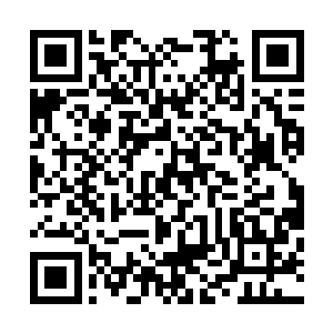 在东城一中挨过十顿打的我按理来说应该不会轻易紧张了吧二维码生成
