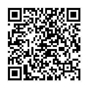 在两拨都被白衣佣人簇拥着的少男少女被周围人惊觉都二维码生成