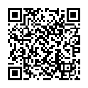 在严世蕃在书房替父严嵩接待刑部尚书何鳌的时候二维码生成