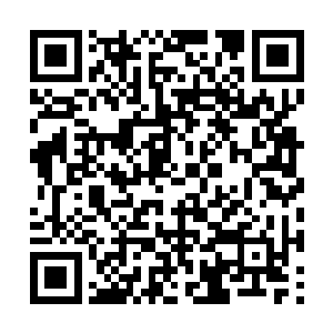 在中元星系五千岁突破到九天玄仙也就是普通资质二维码生成