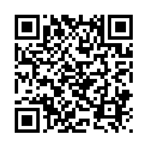 在中间的是沙罗獭三兄弟和魅碧莲二维码生成