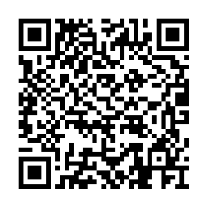 在主力输出上面已经是最强王者里面的顶级水准二维码生成