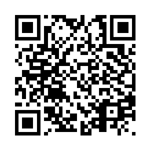 在九龙雪山之中一片神秘翠绿森林之中二维码生成