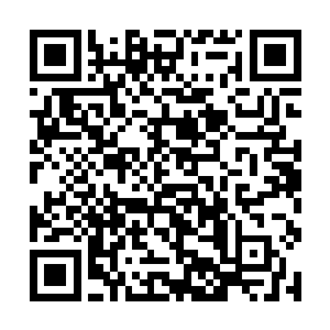 在五府争霸赛之前四个学府从未听说过有这样的存在二维码生成