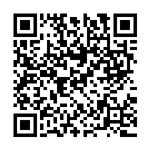 在享受了宗门庇护的同时势必也要付出自己的代价二维码生成