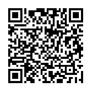 在京府军后卫等十一卫及河东盐运司等处刑名事务二维码生成