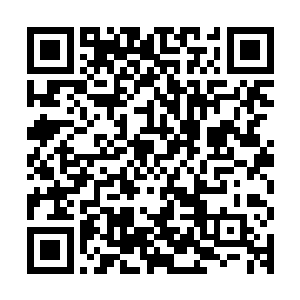 在京正四品以上的官员都要带着家眷进宫去给皇上皇后行新年礼二维码生成