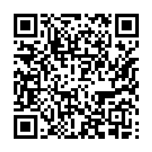 在他们的眼中跟在夏天身后简直就是一种荣誉的象征二维码生成