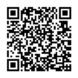 在他们的身后还有着乔家三个仙君后期巅峰疾飞而来二维码生成