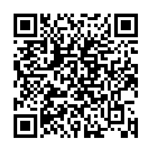 在他制造出来的小千世界当中的六耳妖猿身上裹了一裹而已二维码生成