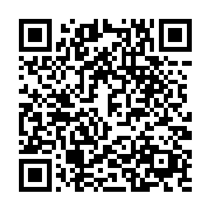 在他松开伯爵那双枯瘦如柴的爪子准备收回手的时候二维码生成