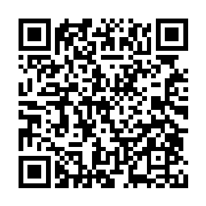 在他的心中此时的龙傲天已经变成了无敌的存在二维码生成