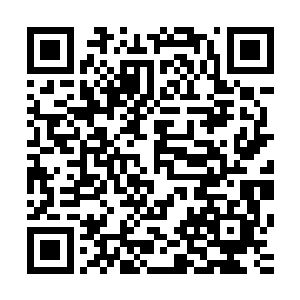 在他看见向来都让人捧着的夏天祁马前鞍后的跟着顾景的时候二维码生成