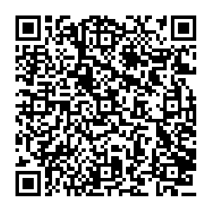在他眼中最美丽的永远是那个曾经温柔的扶起才九岁的被府中的嫡兄推到在地上群殴的华衣少女二维码生成