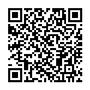 在他选择责任的时候就已经默认了夏天萌未婚妻的身份二维码生成