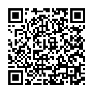 在众人感觉到充塞满流墨墨气息的血焰淹没自己二维码生成
