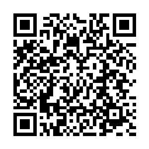 在众人的面前苏凡等人自然不可能的就将娑娜这么带出来二维码生成