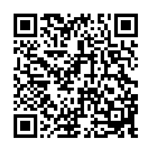 在众人看来这是一场史上最无悬念的一场斗厨大战二维码生成