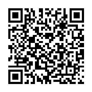 在你们的注意力被那辆开往南边的卡车吸引住的时候二维码生成