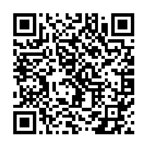 在俗世当中任何一个喜欢玩网游的人都能如数家珍的说出来二维码生成
