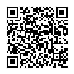在倒地的癫癫博士身上似剁馅儿般飞速切了起来二维码生成