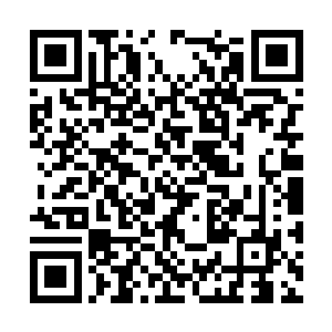 在元后已逝继后未立的当下可说是金字塔尖的人物二维码生成