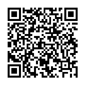 在公司内部一贯以冷面冰山总裁身份示人的林慕雪二维码生成