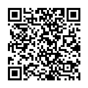在军事上丛林战通常指的是发生在热带森林里的战斗二维码生成