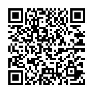 在冬天里没有被大雪覆盖的牧草比金子还要珍贵二维码生成