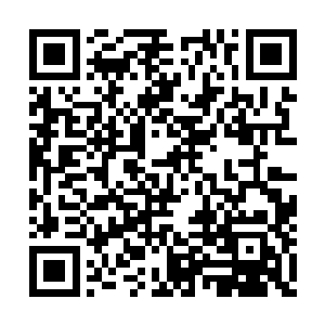 在准传奇境界竟然就能和自己打的有声有色……二维码生成