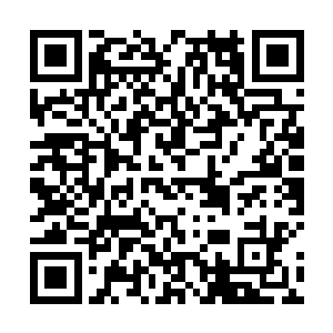 在几乎所有高门大户意识到自己的核心利益已经染指后二维码生成