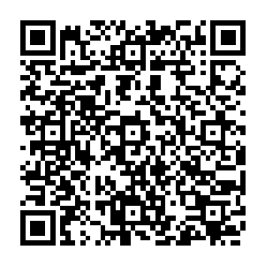 在几年前已经悄然启动了只有在整个太夏华族将有可能遭遇灭顶之灾的时候才启动的二维码生成
