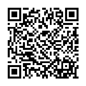 在刚才被沈笑笑打击了一下之后就更没有兴致了二维码生成