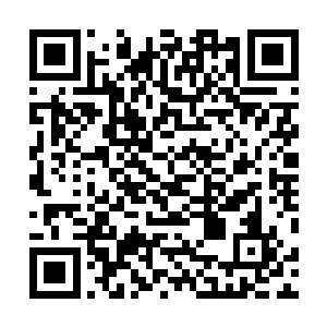 在加上苍茫山的势力创造出一个一统天下的霸主确实不难二维码生成