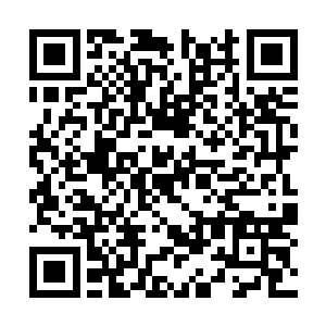 在加纳这种环境中生存并出头的人类才是最狡猾的二维码生成