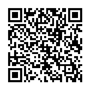 在北欧的各种穷山恶水中奔袭搜索了一晚上的杨辰二维码生成