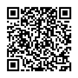 在十二个元婴期修士身后是一千多个结丹期修士围成了一圈二维码生成