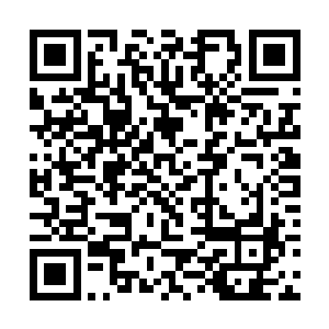 在十四年的时间内包揽了全球三十多项服装设计大奖二维码生成