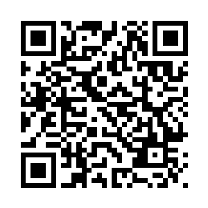 在半透明的人造头盖骨中微微颤动二维码生成