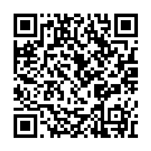 在南城门设关卡的官兵见穆扬灵赶了一群羊过来二维码生成