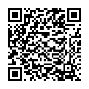 在南方巫师联盟中算得上是最高层的几个人物之一了二维码生成