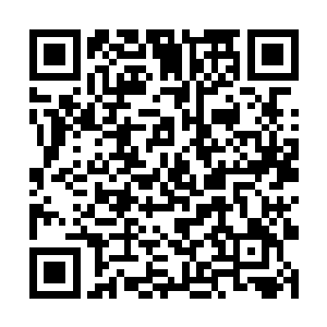 在南面名叫桃亭县的地方正在举行一场绿林英雄大会二维码生成