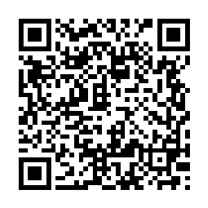 在原著中诺亚尝试过以后就放弃了一人改建的梦想二维码生成