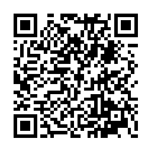 在县政府的食堂里能做出这样的菜已实属不易了二维码生成